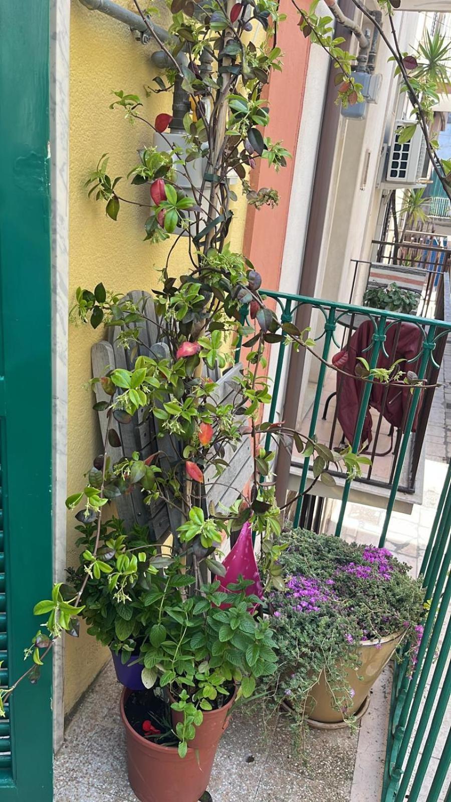 Villa La Casa di Nonna Sisina Mola di Bari Esterno foto
